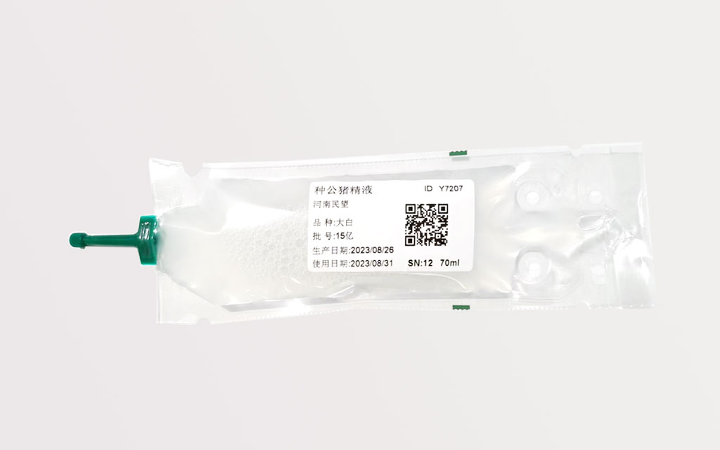 種母豬（大白、長(zhǎng)白）