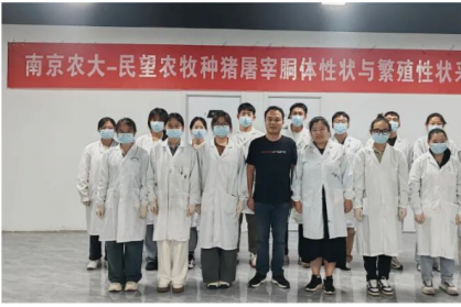 民望聯(lián)合南京農(nóng)大持續(xù)開展種豬胴體與繁殖性狀測(cè)定與選育